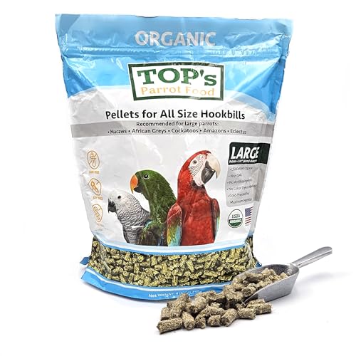 Foods Parrots Should Avoid
