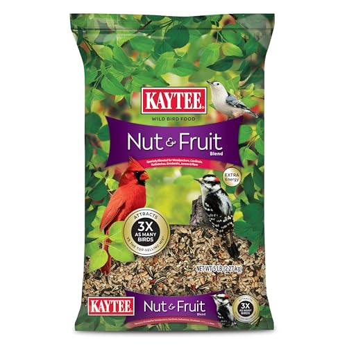 Fruits That Attract Wild Birds