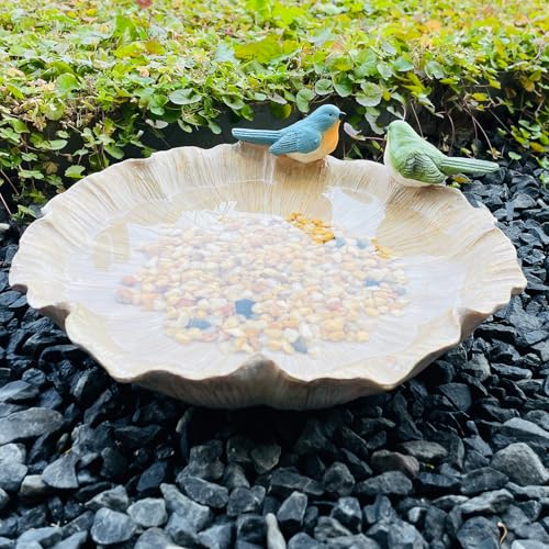 Large Ground Bird Bath