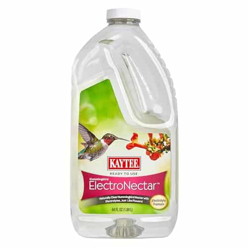 Nectar Bird Feeder