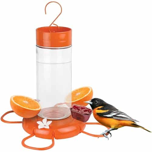 Orioles Bird Feeder