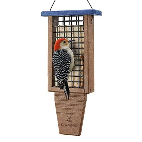 Pileated Woodpecker Feeder