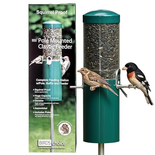 Pole Mount Bird Feeder