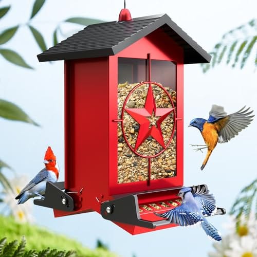 Raccoon Resistant Bird Feeder