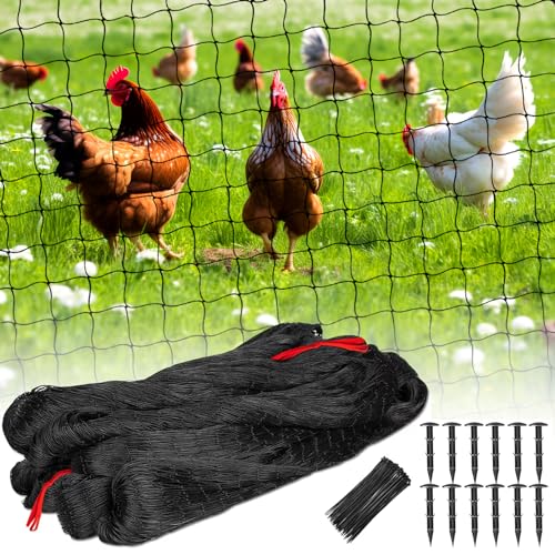 Roof Bird Netting