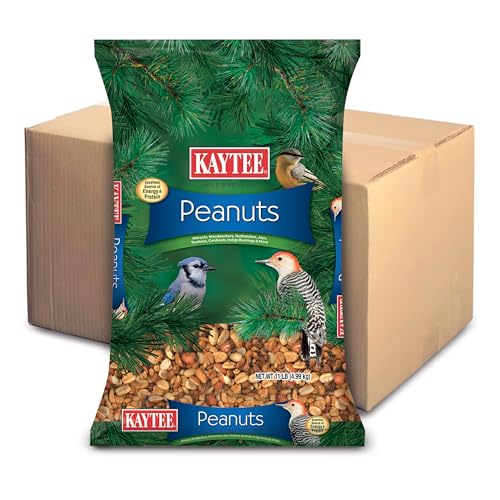 Shelled Peanuts for Birds
