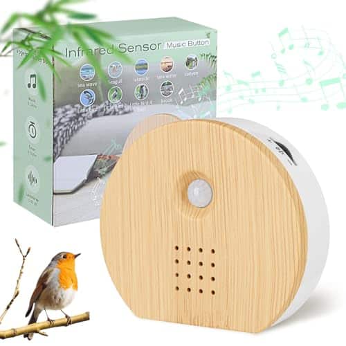 Sound of Birds Chirping