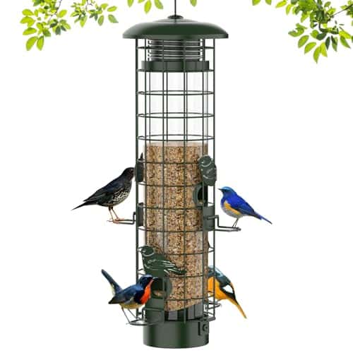 Squirrel Resistant Bird Feeder