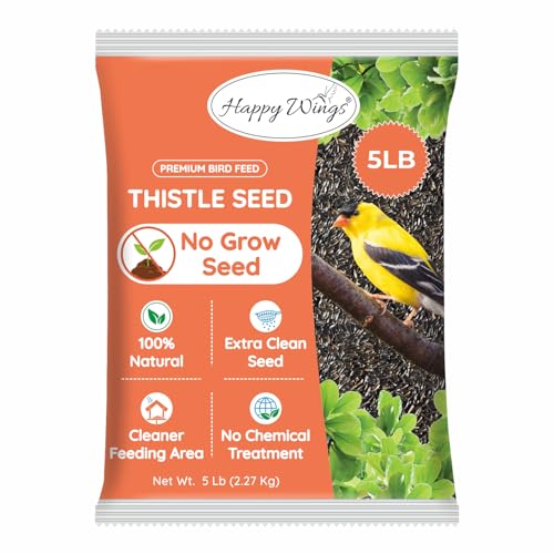 Thistle Seed Birds