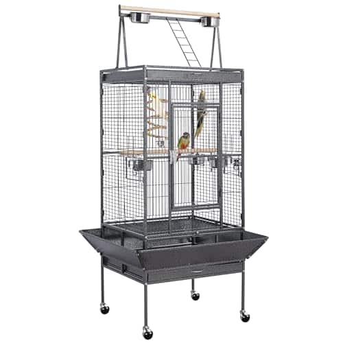 Unique Bird Cages
