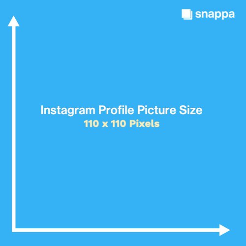 Motley announcer Bandit The Ideal Instagram Profile Picture Size & Best Practices