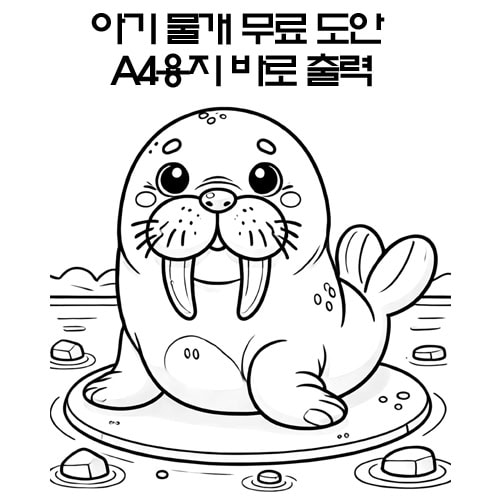 아기물개 - 1
