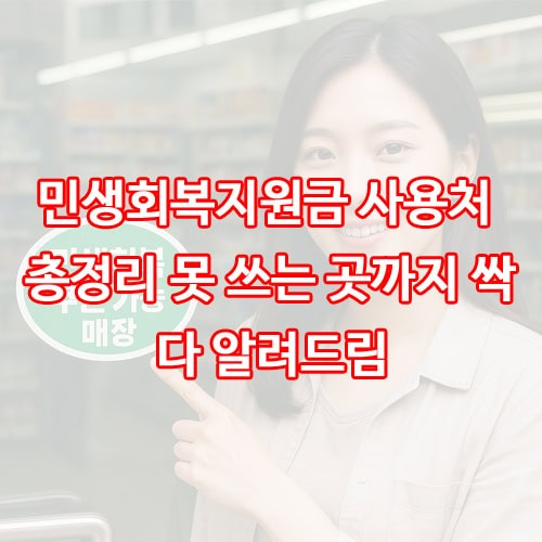 민생회복지원금 사용처 총정리 못 쓰는 곳까지 싹 다 알려드림
