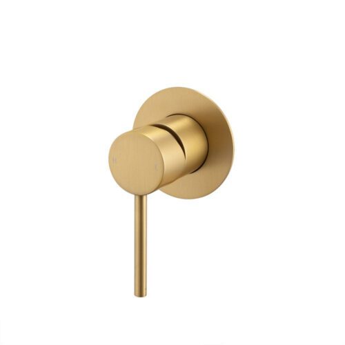 LUCID PIN- Brushed Brass Wall Mixer ( 65MM Cover Plate)