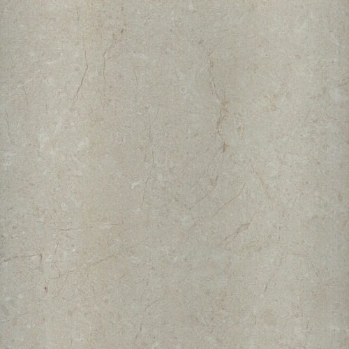 WHITEHORSE DIXSON GLOSS FT