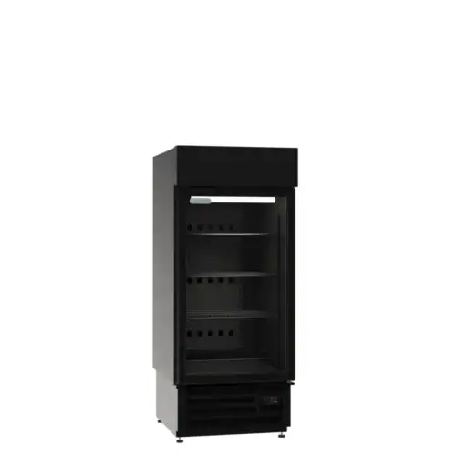 Display Freezer