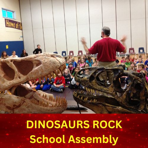 We Bring The Dinosaur Museum To You! We Bring The Dinosaur Museum To You! Over 25 Years of delivering the best School Assemblies.