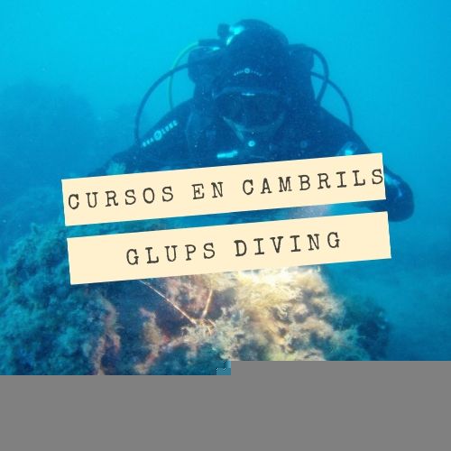Bautizo de buceo en Cambrils con Glups