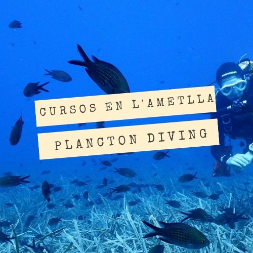 Open Water Diver en L'Ametlla con Plàncton Diving
