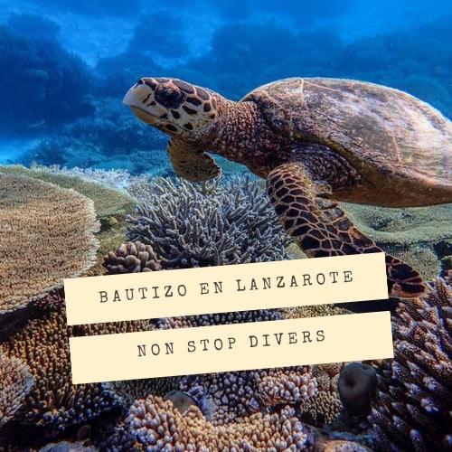 Bautizo en Playa Dorada con Lanzarote Non Stop Divers
