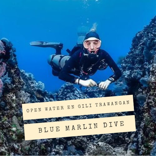 Open Water en Gili Trawangan con Blue Marlin Dive