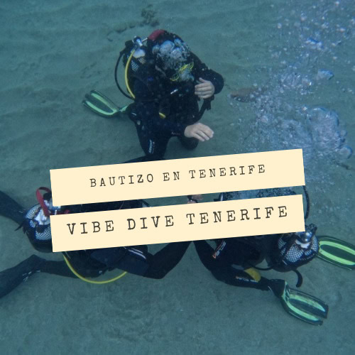 Bautizo de buceo en Arona con Vibe Dive Tenerife