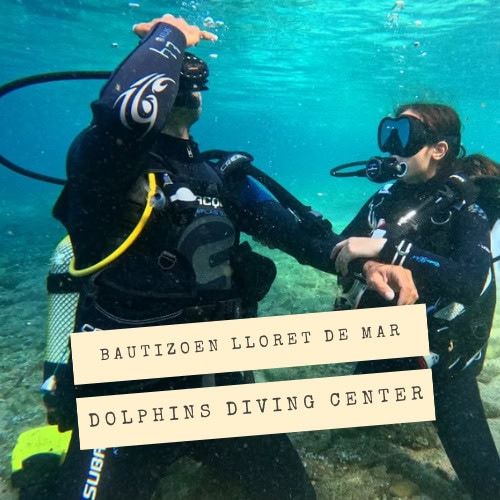 Bautizo de buceo en Lloret de Mar con Dolphins Diving Center