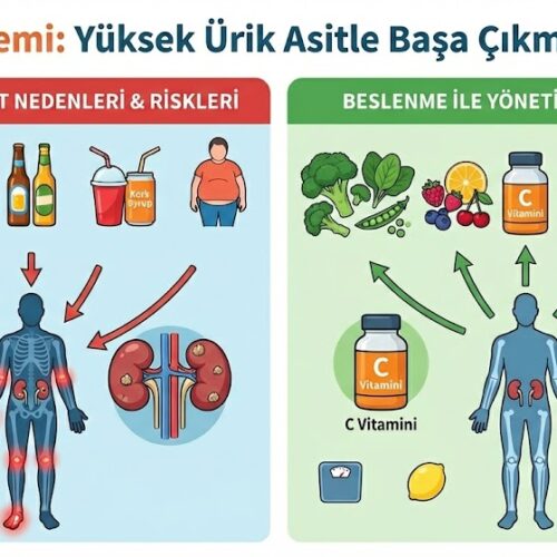 Yüksek ürik asit rehberi