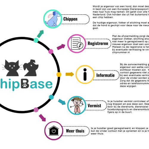 Promotie Poster Chipbase