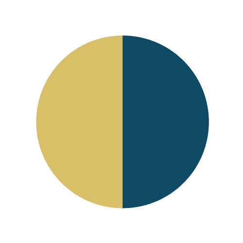 Kreisgrafik, die in zwei gleich große Hälften geteilt ist – eine goldene und eine blaue Seite.