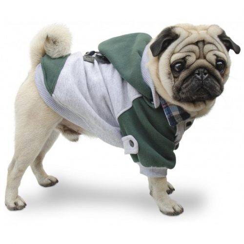 Ropa Para Pug