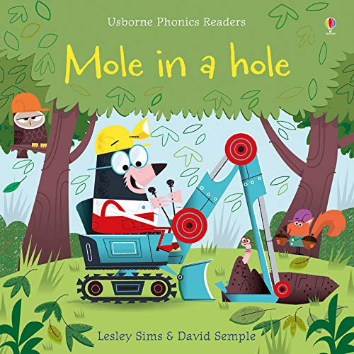 Mole in a Hole - Usborne Phonics Readers