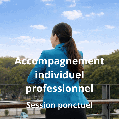 Accompagnement individuel professionnel - Session ponctuel