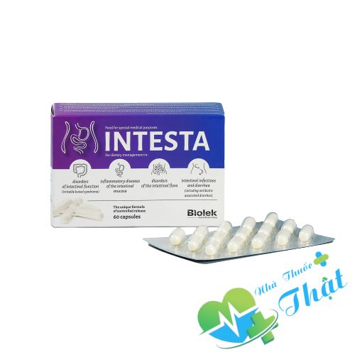 Intesta Hộp 60 Viên - Điều Trị Viêm Đại Tràng