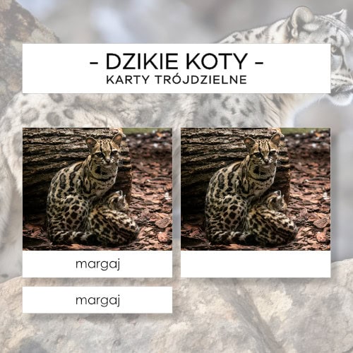 Dzikie koty - karty trójdzielne 24 szt.