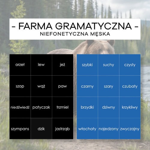 Farma gramatyczna niefonetyczna męska