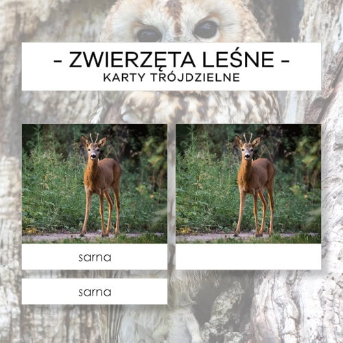Zwierzęta leśne - karty trójdzielne 20 szt.