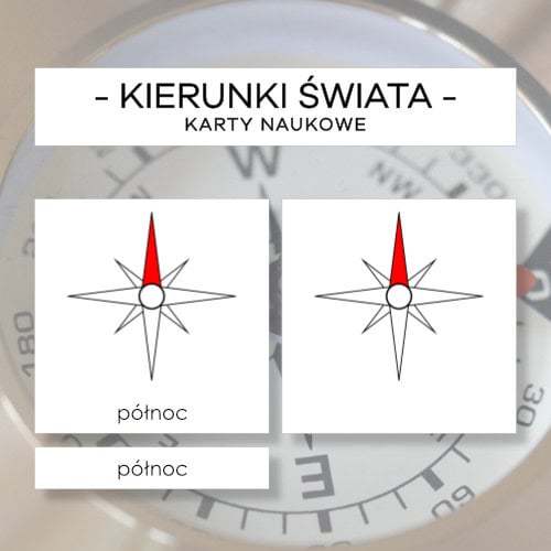 Kierunki świata- karty naukowe 9 szt.