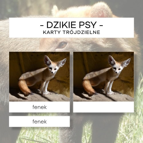 Dzikie psy - karty trójdzielne 12 szt.