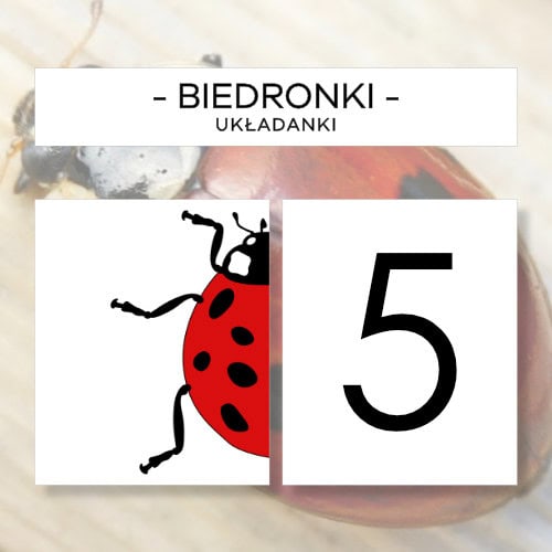 Biedronki - puzzle 10 szt.