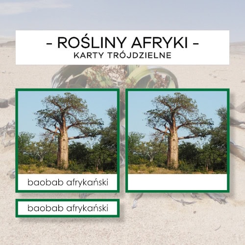Rośliny Afryki - karty trójdzielne 10 szt.