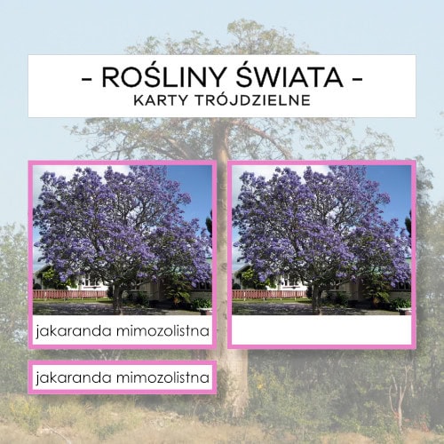 Rośliny Świata - karty trójdzielne 60 szt.