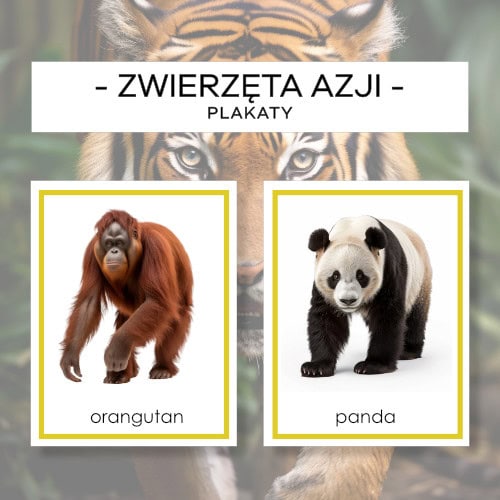 Zwierzęta Azji – plakaty A4