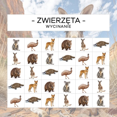 Zwierzęta Australii - wycinanie
