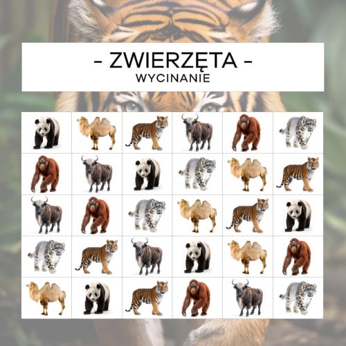 Zwierzęta Azji - wycinanie