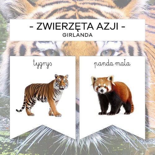 Zwierzęta Azji - girlanda z podpisem
