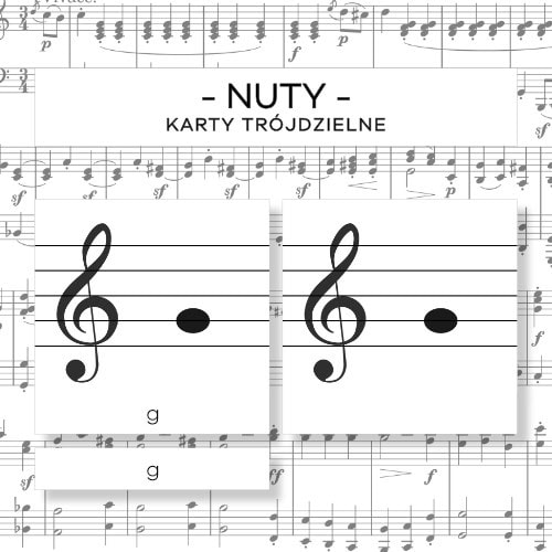 Nuty - karty trójdzielne 8 szt.