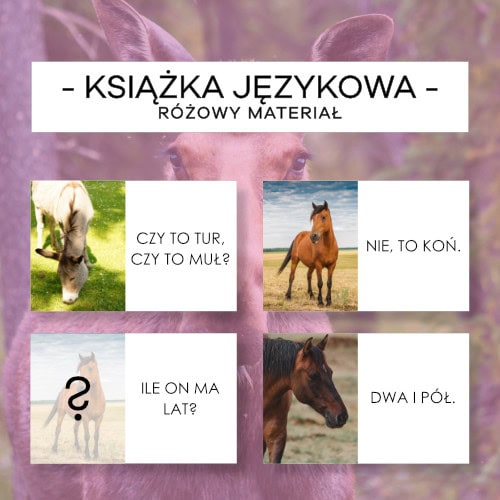 Różowy Materiał Językowy - dodatkowe różowe książki - obrazek 3