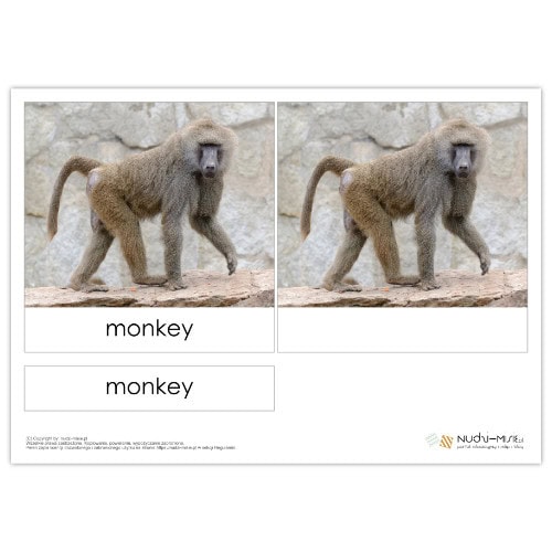 Animals - karty, domino, doble, układanki - materiał klasa 3 - obrazek 2