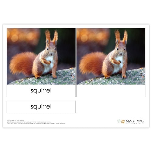 Animals - karty, domino, bingo, układanki - materiał klasa 1 - obrazek 2